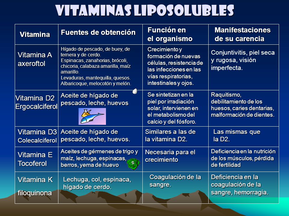 Vitaminas hidrosolubles que funcion tiene